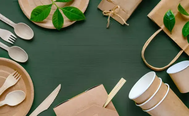Compostable Straw GoGreen 1900992 — pack of 20 Photo 2