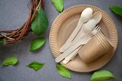Reusable forks GoGreen 1901105 set of 10 Photo 3