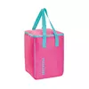 Thermal Container Gio’Style Esay Style V-Bag 30 L Photo 2