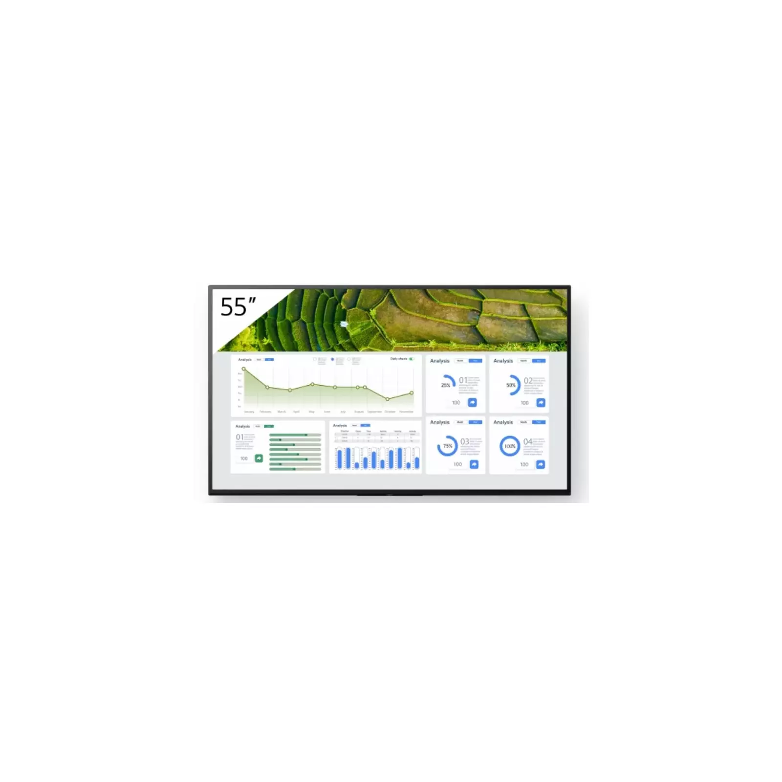 Monitors Sony Digital Signage FW-55BZ30L Photo 1