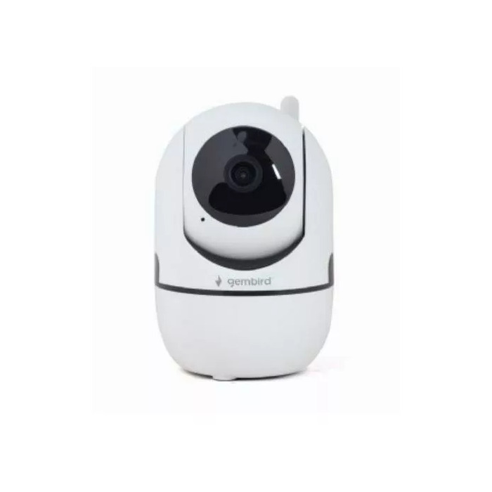 IP Cameras