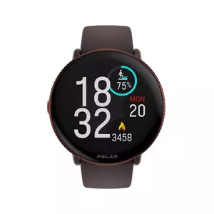 Smartwatch Polar Ignite 3 Brown