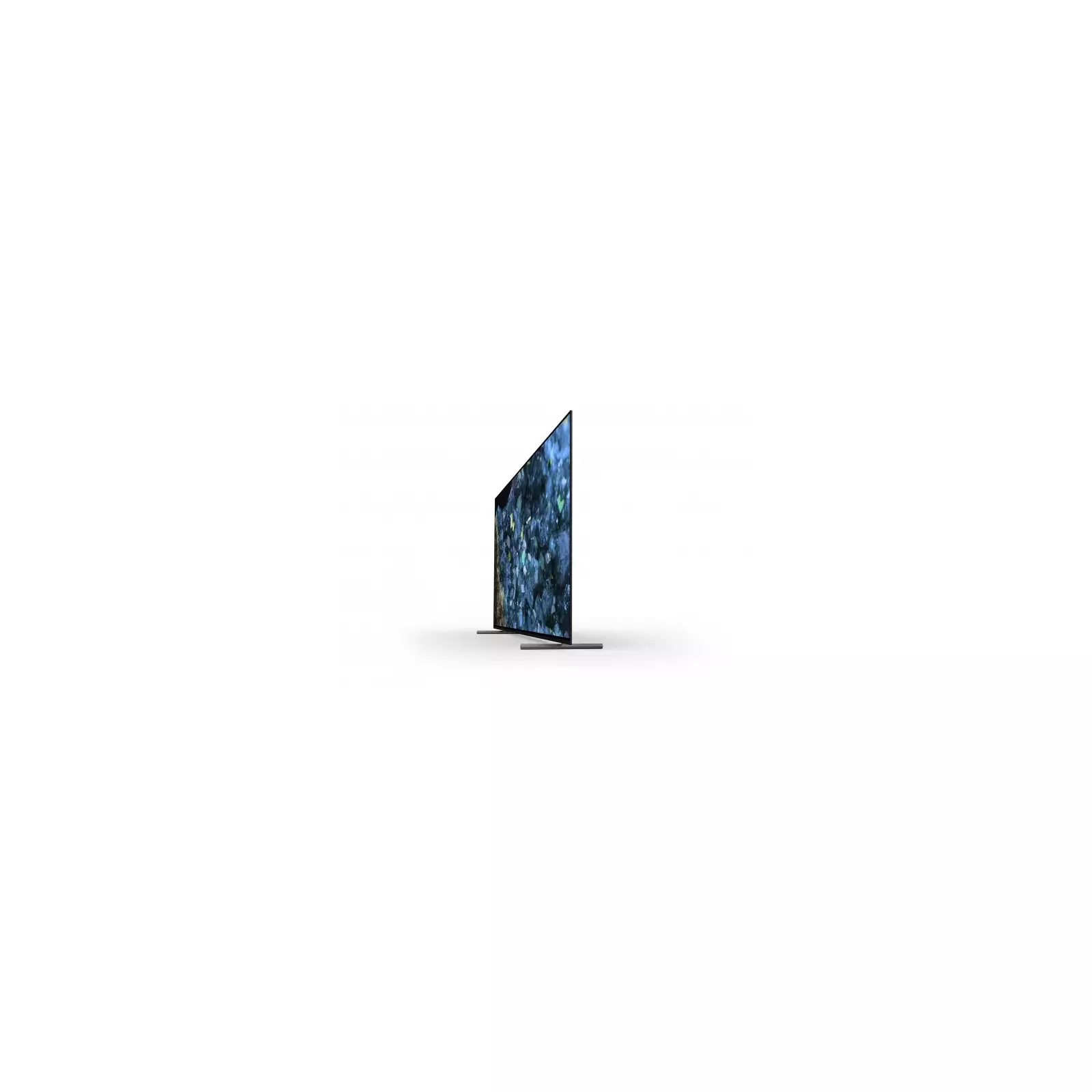 Monitors FWD-65A80L Photo 9