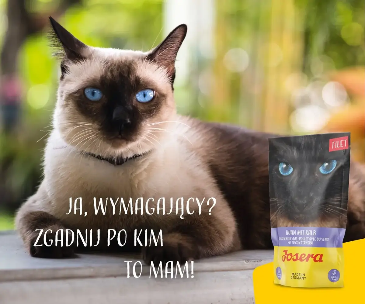 JOSERA влажный корм для кошек Chicken fillet with veal 70 г Photo 6