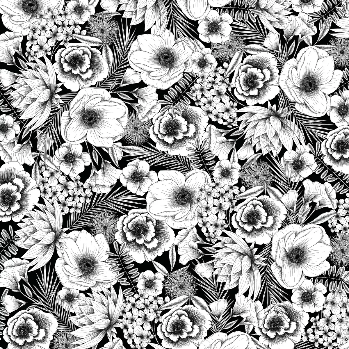 Pārneses lapa Cricut Infusible Ink Melnie botāniķi Photo 2