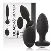 Анальная пробка black&silver WELLS D-234784 Photo 2