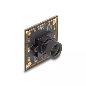 Webcam DeLOCK 12064 2.1 MP 1920 x 1080 USB 2.0 Black