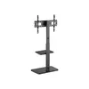 TV grīdas statīvs Equip 37"-75" 650613 Photo 2