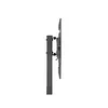 TV grīdas statīvs Equip 37"-75" 650613 Photo 7