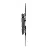 TV mount Gembird WM-60ST-01 Photo 2