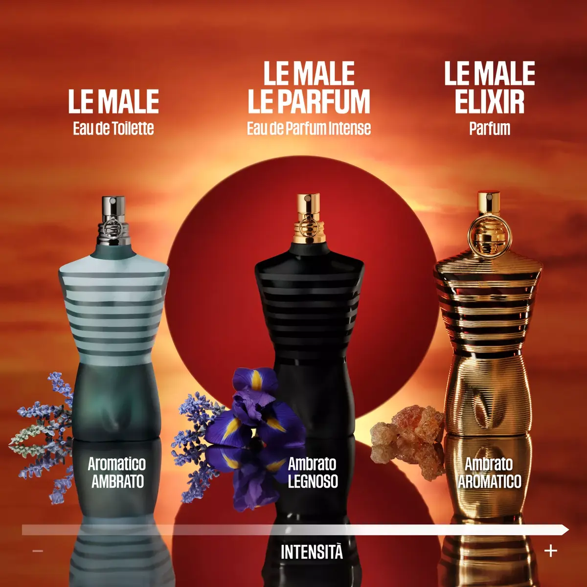 Eau De Parfum Intense Jean Paul Gaultier Le Male Photo 5