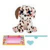 Plīša rotaļlieta Cobi Scruff-a-Luvs Real Pets Photo 12