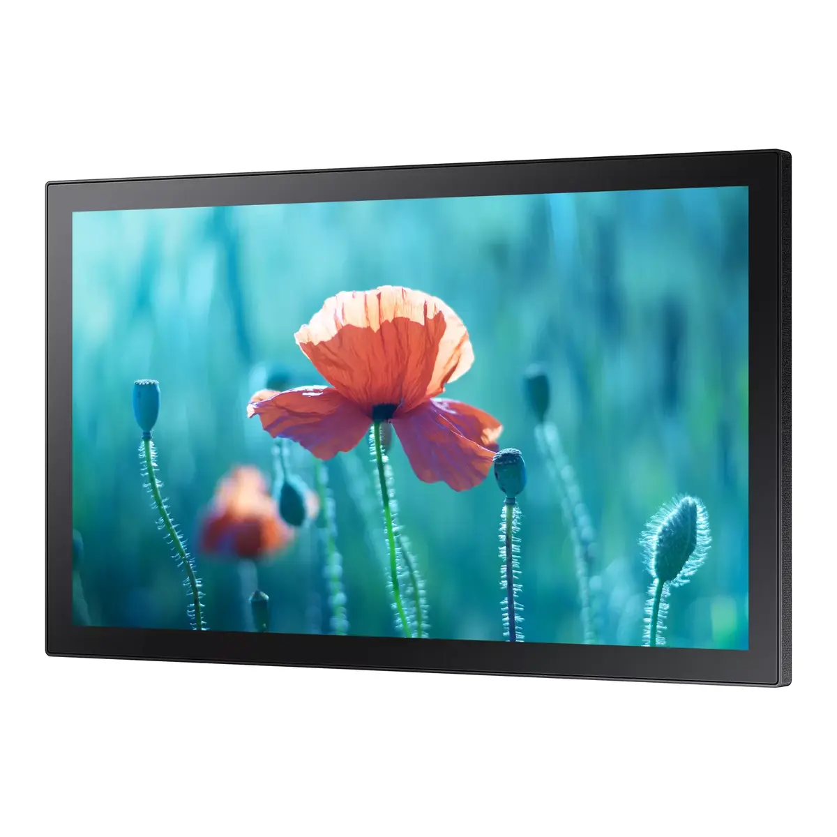 Интерактивная панель Samsung QB13R-TM Photo 2