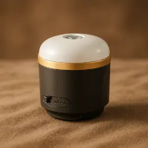 Лампа для кемпинга на батарейках EcoFlow SCLI-B 400 лм USB C
