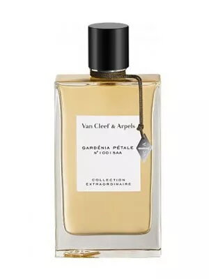 Perfumes for Her