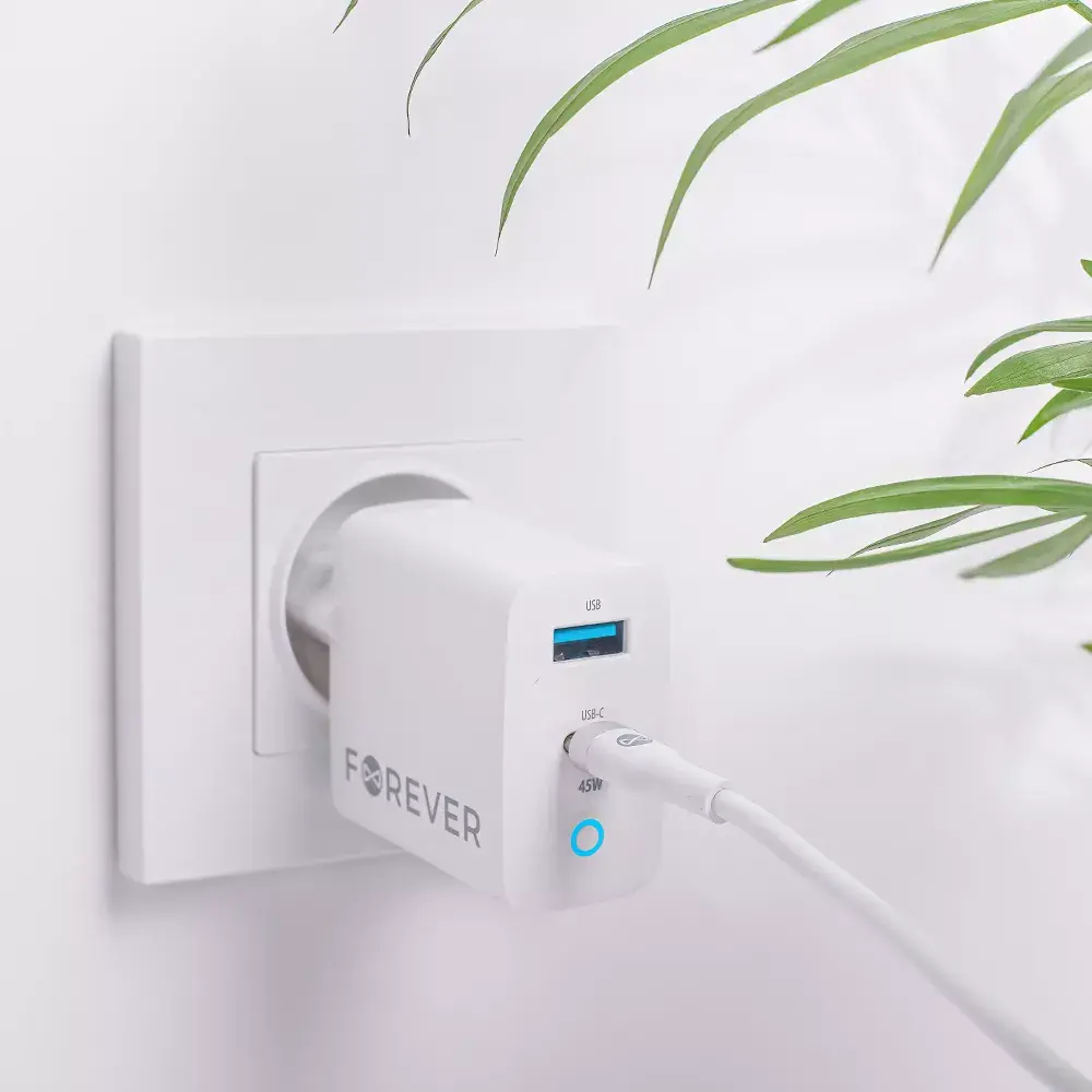Tīkla USB lādētājs forever GaN TC-06-45AC 45W Photo 3