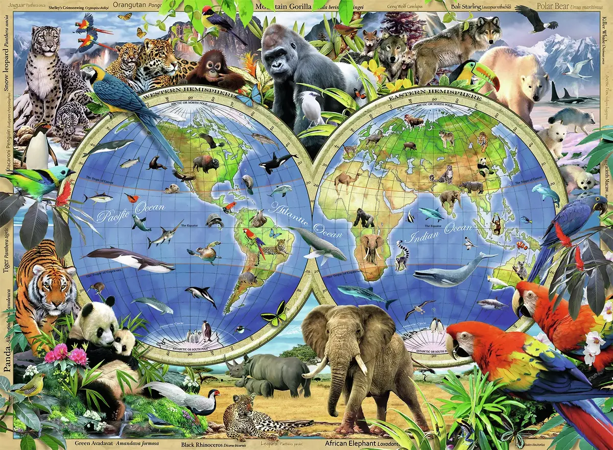 Ravensburger World Of Wildlife puzle 300 gabaliņi Photo 4