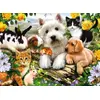Ravensburger Happy Animal Buddies — 300 daļu puzle Photo 2