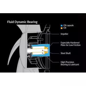 High Quality Bearing