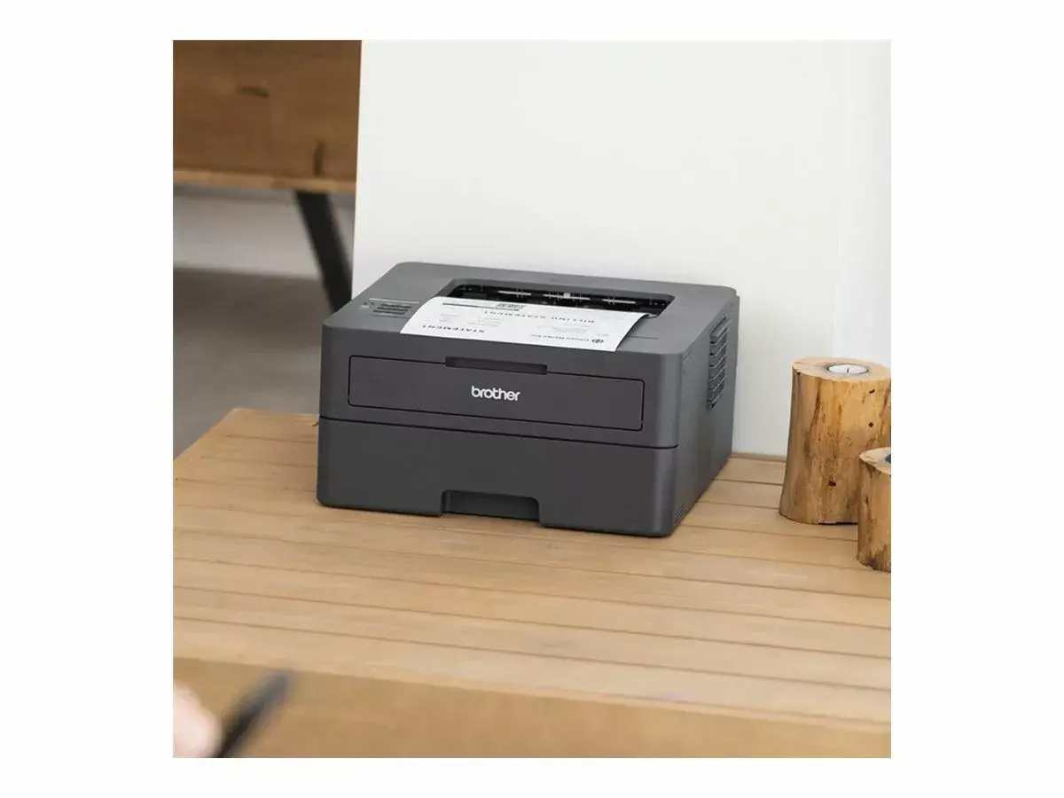 Принтер Brother HL-L2400DW Photo 9