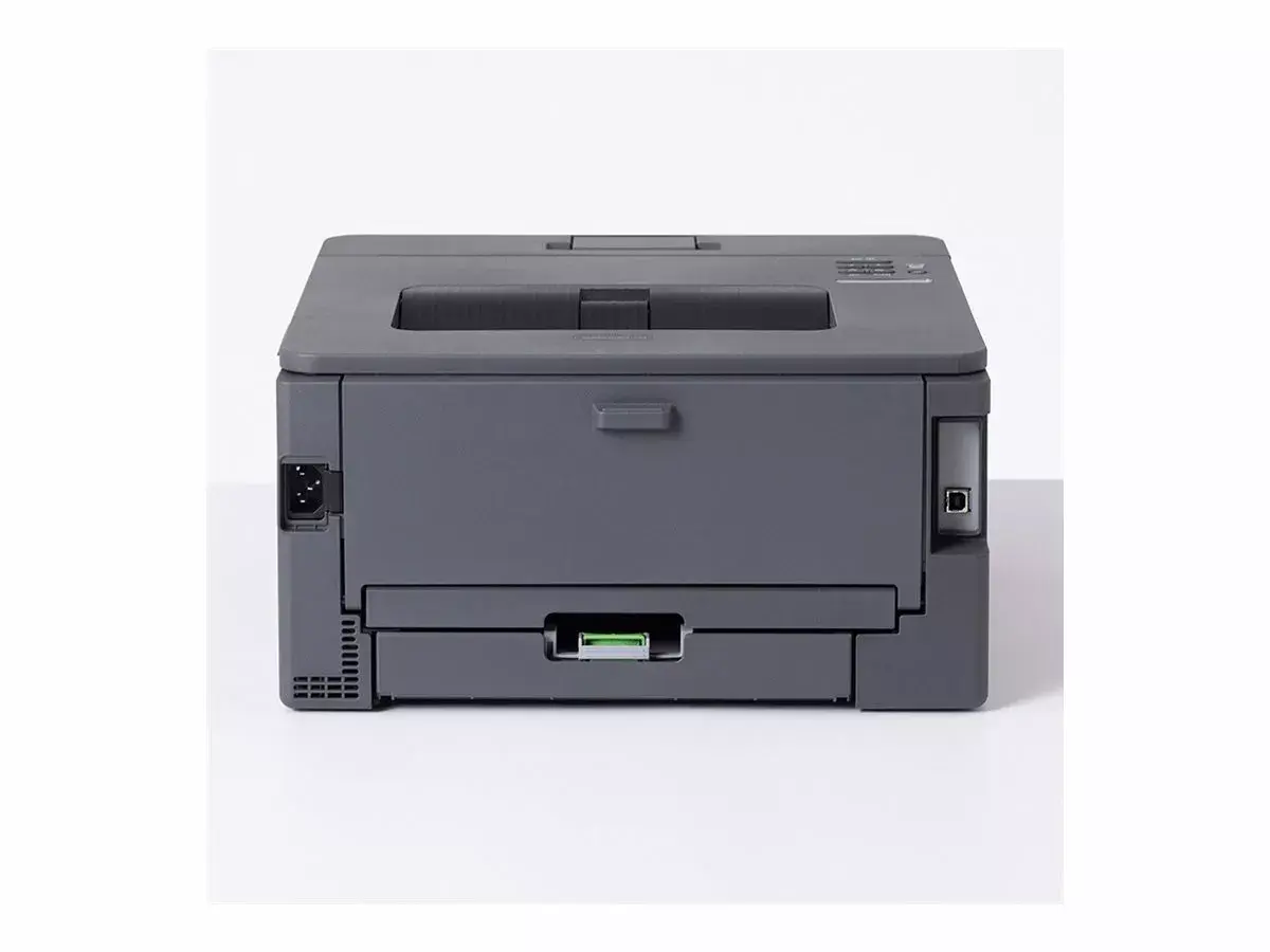 Принтер Brother HL-L2400DW Photo 11