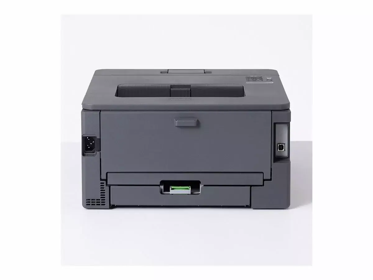 Принтер Brother HL-L2400DW Photo 12