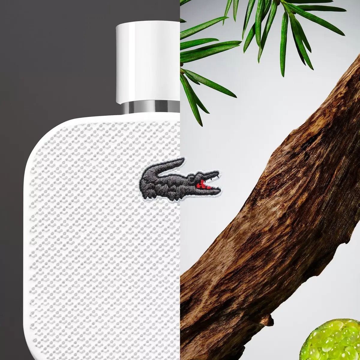 Парфюм Lacoste 99350066867-000 Photo 2