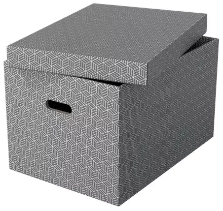 ESSELTE 628287 rectangular cardboard storage box Photo 2