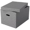 ESSELTE 628287 rectangular cardboard storage box Photo 2