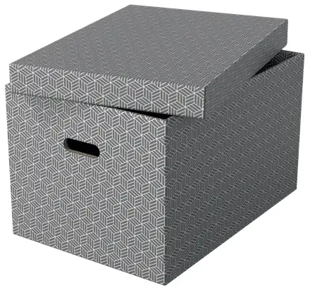 Esselte Home Storage Box Large Pack of 3 Photo 2