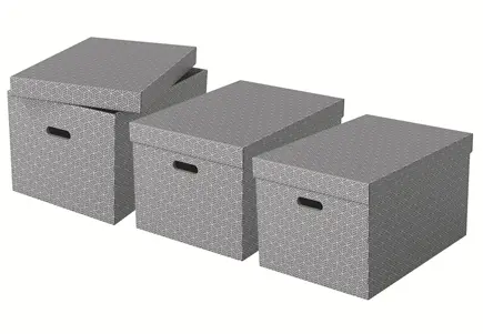 Esselte Home Storage Box Large Pack of 3 Photo 3