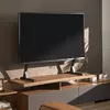 TV mount Hagor 8718 Photo 5