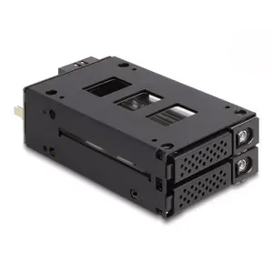 Storage drive tray DeLOCK Slim Bay Mobile Rack 2 x 2.5" U.2 NVMe SSD Black