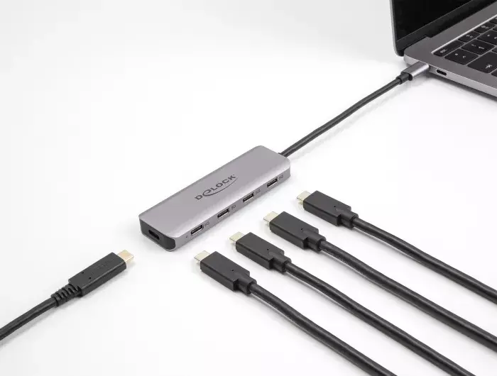 DeLOCK USB Hubs 5 Gbps 4 Porti USB Type-C Photo 2