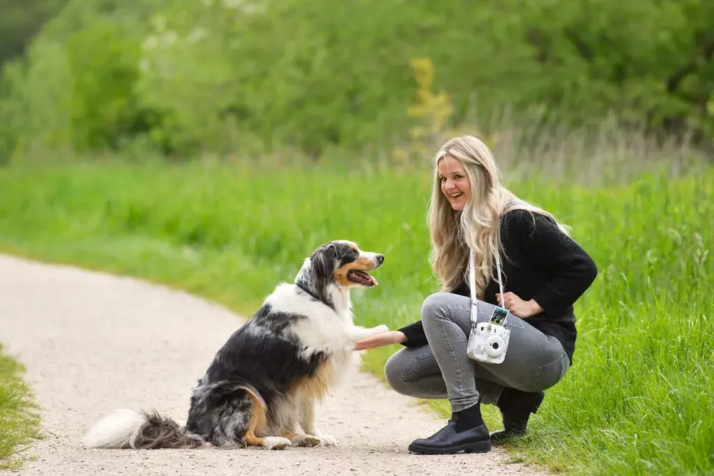 Korpusa soma Cullmann RIO Fit 120 Photo 4