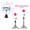 Rotating Studio Canal Toys INF028CL 360 Degrees Photo 6