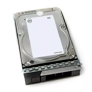 HDD DELL 12 ТБ 3.5" NL-SAS 7200 RPM 161-BCJX