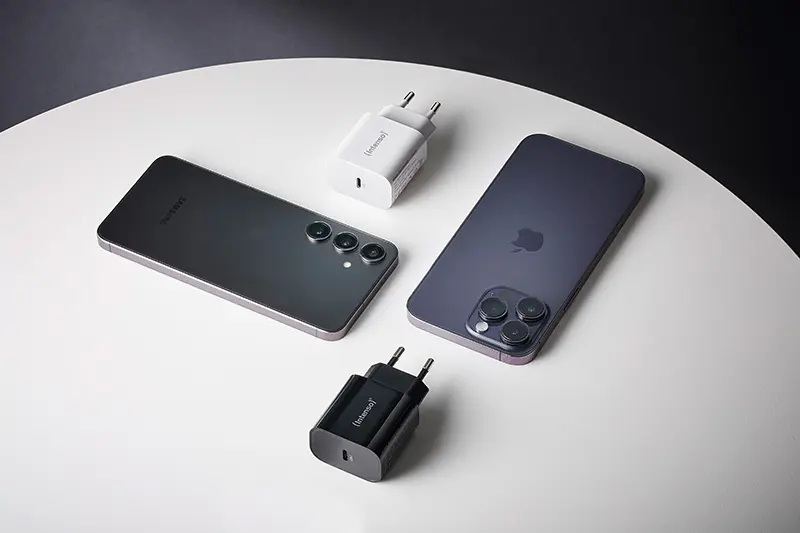 Зарядное устройство Intenso Power Adapter W20C USB-C Photo 10