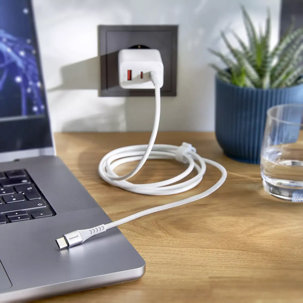 USB Cable Intenso CABLE USB-C TO USB-C Photo 2