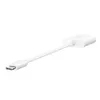 USB Type-C хаб Belkin NPA004BTWH Photo 4