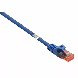 Tīkla kabelis Renkforce RF-5043874 2m Cat6 U/UTP Zils