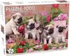 Tactic Puppy Pugs 1000 Piece Jigsaw Puzzle Photo 2