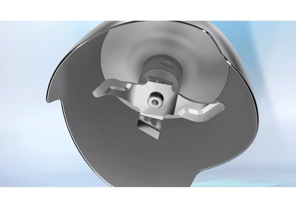 Iegremdējamais blenderis Bosch Serie 4 MSM4W210 Photo 4