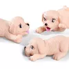 Lelle SIMBA Evi Love Puppy doctor Photo 2