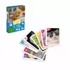 Kāršu spēle Alexander Cards Piotrus Memory - Cats Photo 2