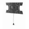 Gembird WM-65T-02 TV stiprinājums 32–65" Photo 3
