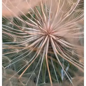 48 МП ультраширокая камера с улучшенным Macro Focus