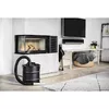 Pelnu separators Electrolux ZE004 Bigdirt Photo 6