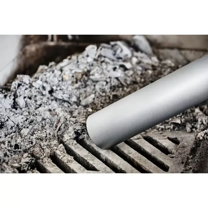 Pelnu separators Electrolux ZE004 Bigdirt Photo 10