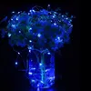 Gaismas virtene Springos CL0080 — 10 m, 100 LED Photo 2